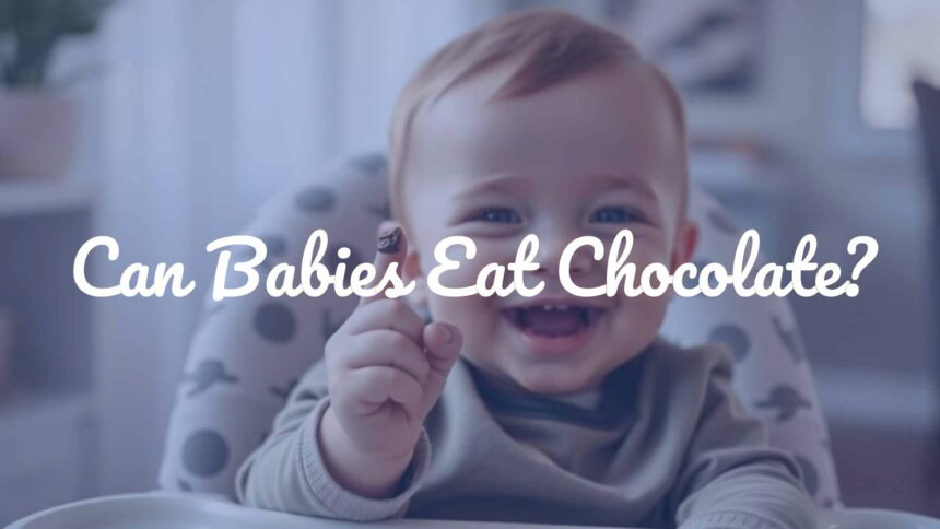 Can Babies Eat Chocolate?