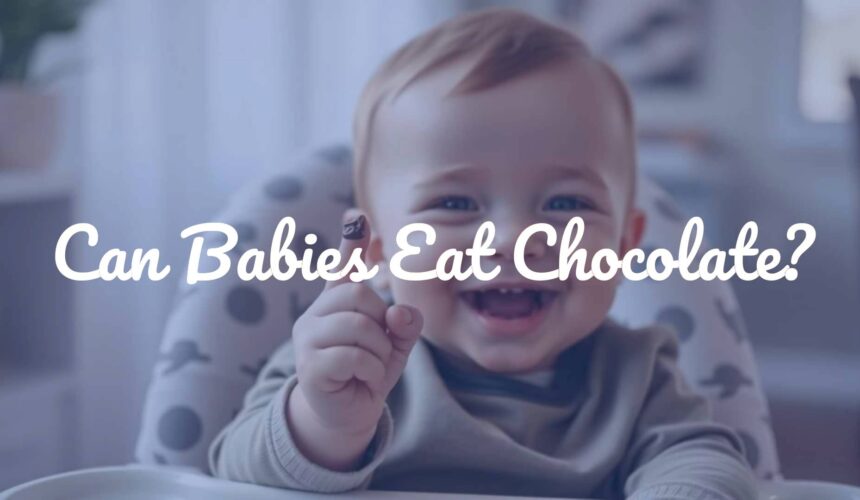 Can Babies Eat Chocolate?