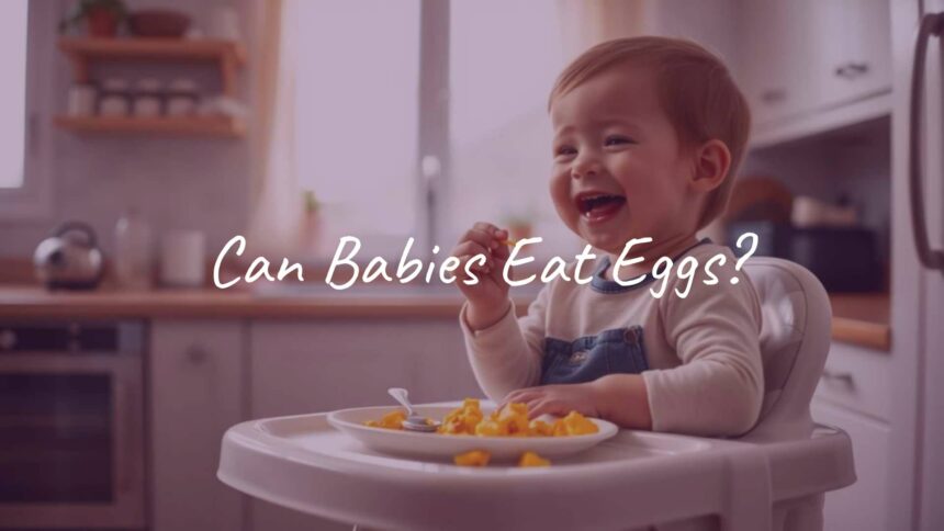 Can Babies Eat Eggs?