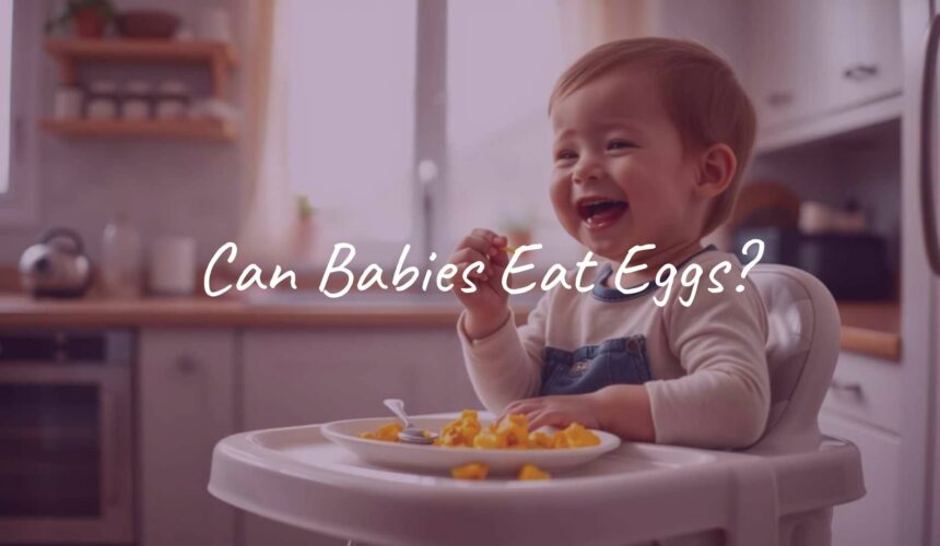 Can Babies Eat Eggs?