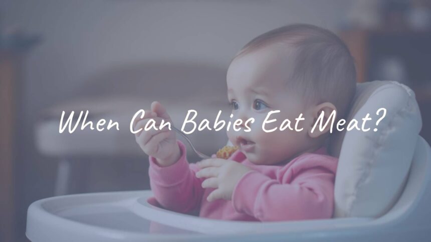 When Can Babies Eat Meat?
