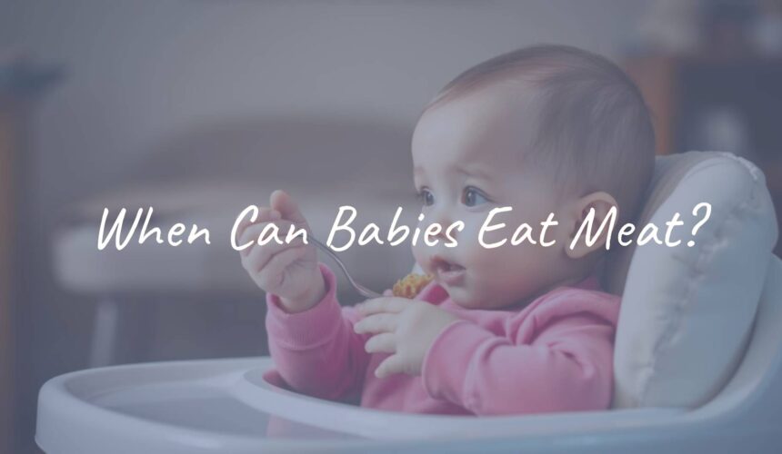 When Can Babies Eat Meat?