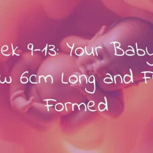 Week 9-13: Your Baby is Now 6cm Long and Fully Formed