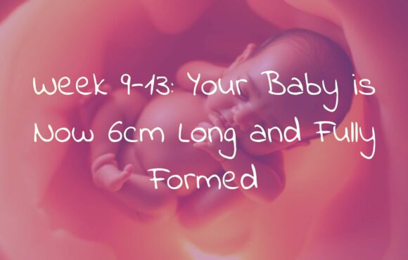 Week 9-13: Your Baby is Now 6cm Long and Fully Formed