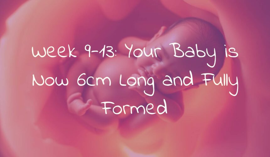Week 9-13: Your Baby is Now 6cm Long and Fully Formed