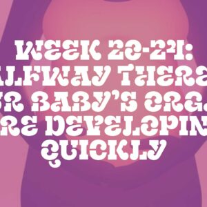 Week 20-24: Halfway There — Your Baby’s Organs Are Developing Quickly