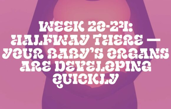 Week 20-24: Halfway There — Your Baby’s Organs Are Developing Quickly