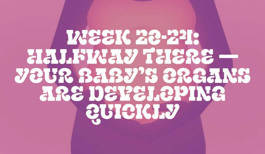 Week 20-24: Halfway There — Your Baby’s Organs Are Developing Quickly