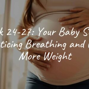 Week 24-27: Your Baby Starts Practicing Breathing and Gains More Weight