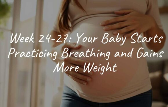 Week 24-27: Your Baby Starts Practicing Breathing and Gains More Weight