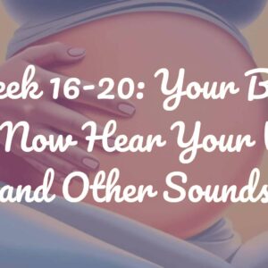 Week 16-20: Your Baby Can Now Hear Your Voice and Other Sounds