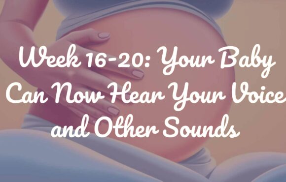 Week 16-20: Your Baby Can Now Hear Your Voice and Other Sounds