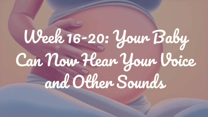 Week 16-20: Your Baby Can Now Hear Your Voice and Other Sounds