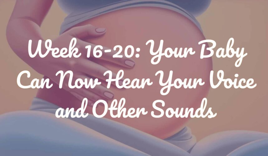 Week 16-20: Your Baby Can Now Hear Your Voice and Other Sounds