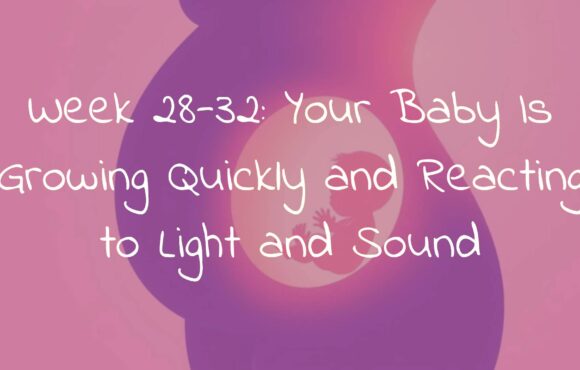 Week 28-32: Your Baby Is Growing Quickly and Reacting to Light and Sound