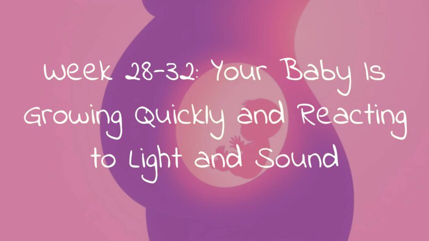 Week 28-32: Your Baby Is Growing Quickly and Reacting to Light and Sound