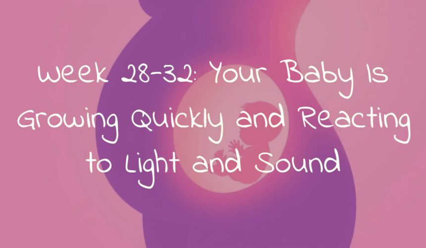 Week 28-32: Your Baby Is Growing Quickly and Reacting to Light and Sound